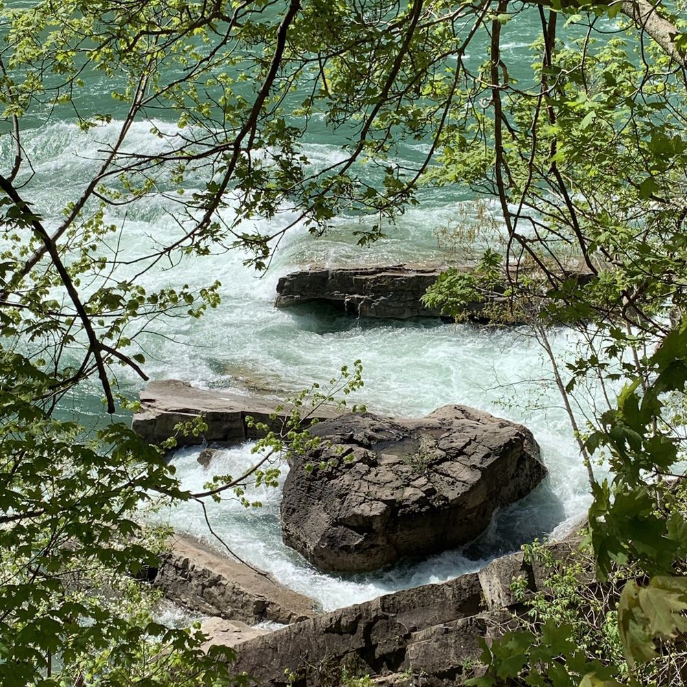 Niagara Glen Nature Reserve - Parks Near Me - Niagara Falls, Ontario Niagara Glen Nature Reserve - Parks Near Me - Niagara Falls, Ontario