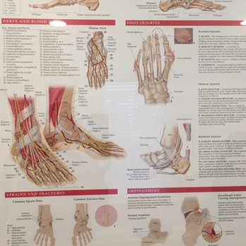 Advanced Podiatry Group - Podiatrists Near Me - Orlando, Florida