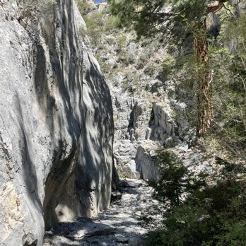 Fletcher Canyon - Hiking Near Me - Las Vegas, Nevada Fletcher Canyon - Hiking Near Me - Las Vegas, Nevada