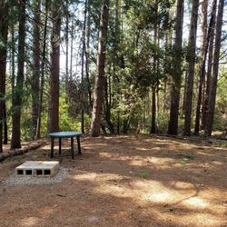 Quail Ridge RV Park - Shady level Small Tent Site