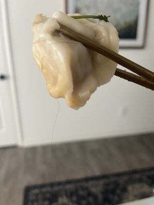 The Dumpling Lady by null
