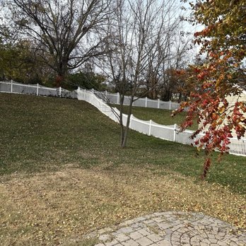Ventura Landscaping - Before - Tree Services Near Me