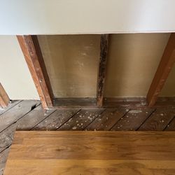 Pet Odor Removal Service