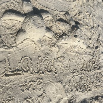 Sand Castle University - Art Classes Near Me Sand Castle University - Art Classes Near Me