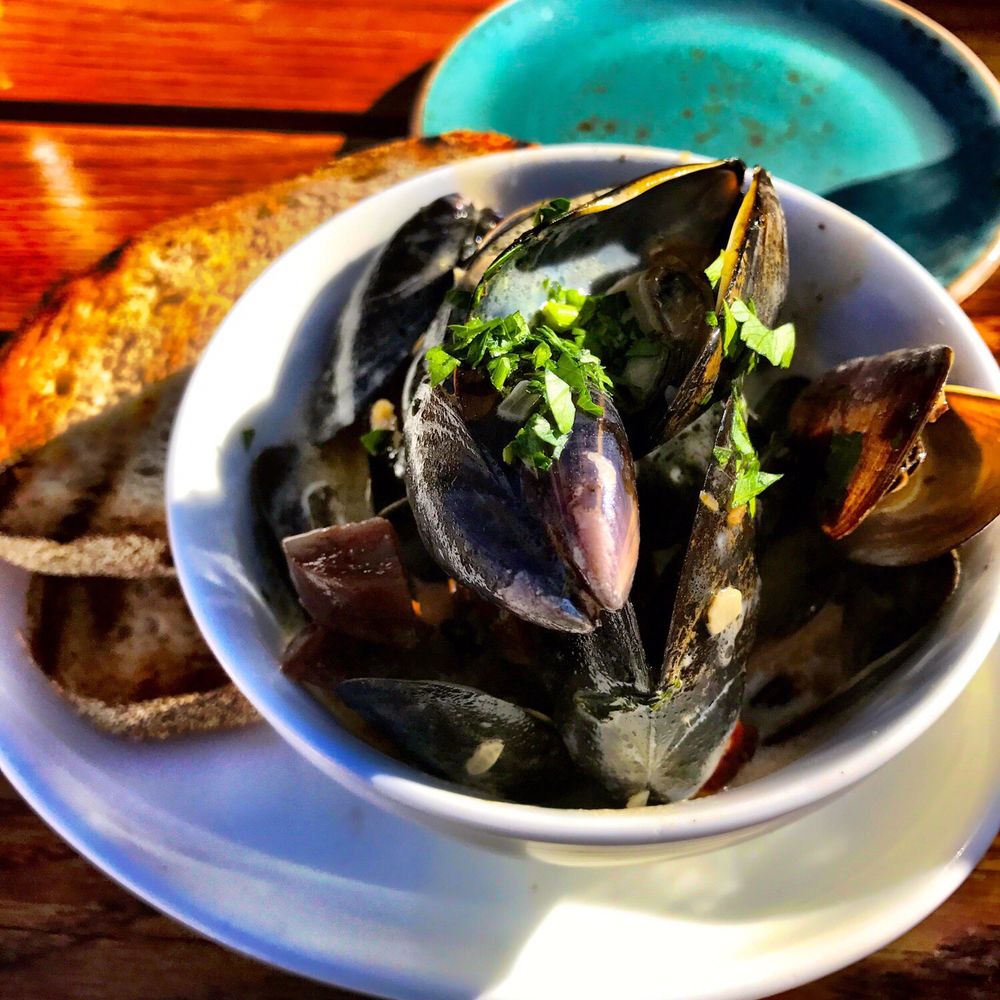 Gypsy Kitchen - Mussels - Spanish Near Me - Atlanta, Georgia Gypsy Kitchen - Mussels - Spanish Near Me - Atlanta, Georgia