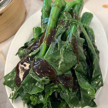 Continental Seafood Restaurant - Chinese Broccoli with Oyster Sauce - Seafood Near Me - Richmond, British Columbia Continental Seafood Restaurant - Chinese Broccoli with Oyster Sauce - Seafood Near Me - Richmond, British Columbia