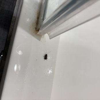 Tru by Hilton Rocky Mount - Roaches - Hotels Near Me - Rocky Mount, North Carolina Tru by Hilton Rocky Mount - Roaches - Hotels Near Me - Rocky Mount, North Carolina