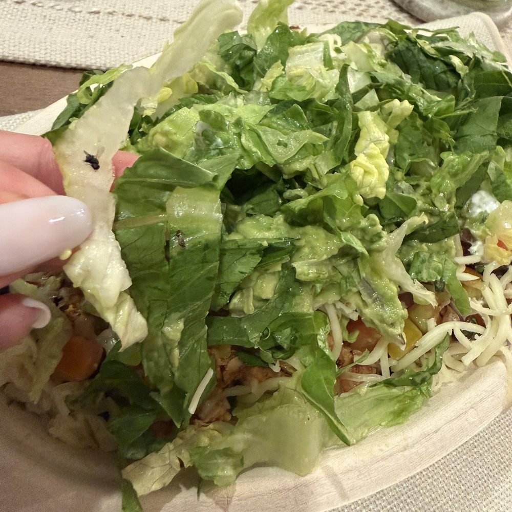 Bugs in food