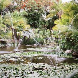 Eden Garden, taken by Laura Ford Photos Eden Garden, taken by Laura Ford Photos