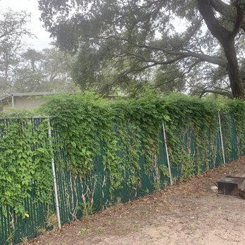 KOA Holiday - Tent lot - Campgrounds Near Me - Saint Augustine, Florida