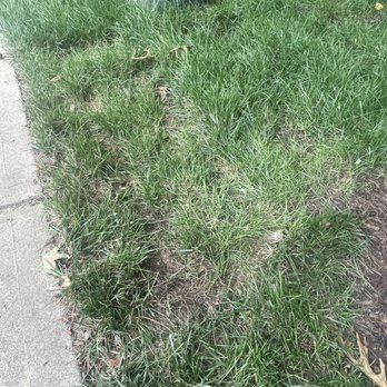 Super-Sod - Nurseries & Gardening Near Me - Raleigh, North Carolina