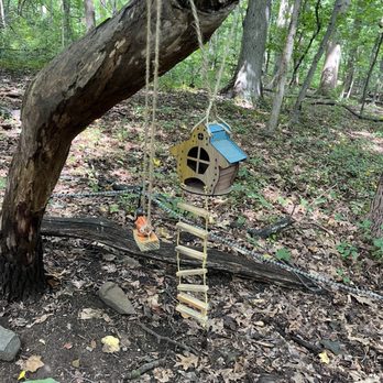 South Mountain Fairy Trail - Kids Activities Near Me