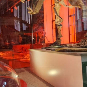 Royal Ontario Museum - Museums Near Me - Toronto, Ontario Royal Ontario Museum - Museums Near Me - Toronto, Ontario