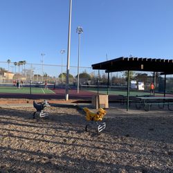Tennis courts