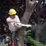 Photo of Austin Landscaping Pros