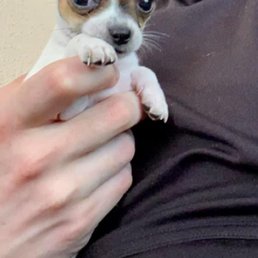 2 months old 2 months old