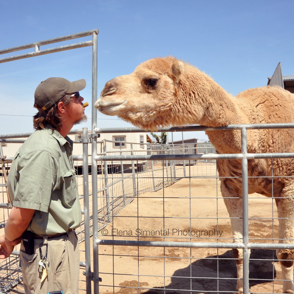 Hesperia Zoo - Our awesome tour guide. - Zoos Near Me - Hesperia, California Hesperia Zoo - Our awesome tour guide. - Zoos Near Me - Hesperia, California