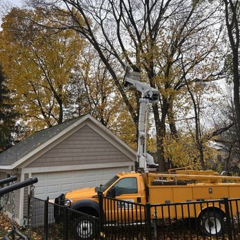 LumberJax Tree Service - Very good work! - Tree Services Near Me - Alto, Michigan LumberJax Tree Service - Very good work! - Tree Services Near Me - Alto, Michigan