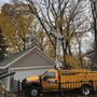 Photo of LumberJax Tree Service