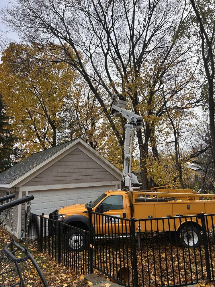 LumberJax Tree Service - tree service in Alto, MI