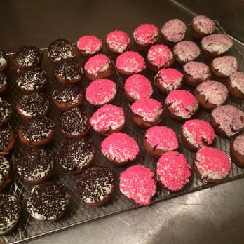 Doggy Decadents - "Pup"cakes - Pet Stores Near Me