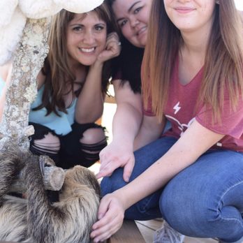Exotic Animal Experience - Blossom was the sweetest - Zoos Near Me Exotic Animal Experience - Blossom was the sweetest - Zoos Near Me