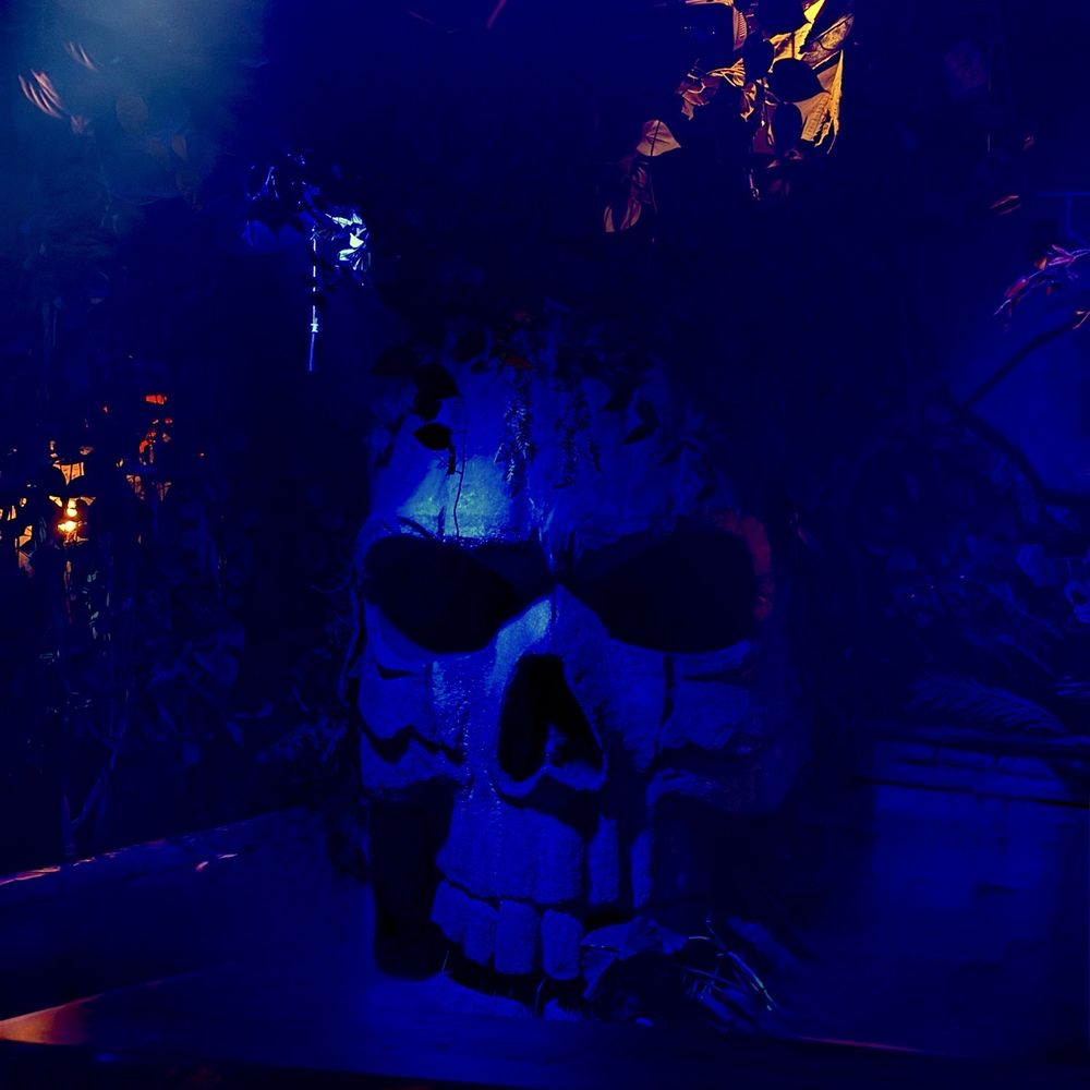 Last Rites - Ambiance - Cocktail Bars Near Me - San Francisco, California Last Rites - Ambiance - Cocktail Bars Near Me - San Francisco, California