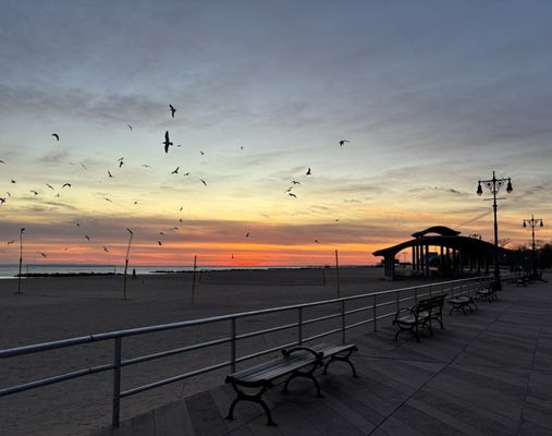 Brighton Beach by null