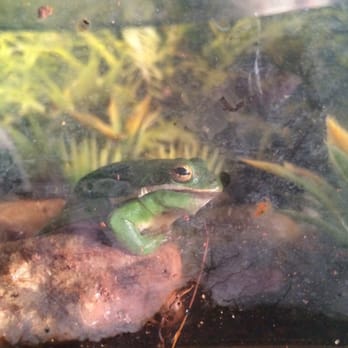 Pet Market - Pet Stores Near Me - San Diego, California