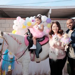 Ponies For Parties