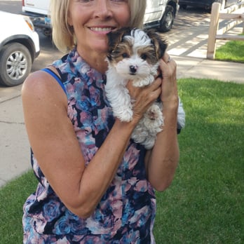 Hidden Springs Java - The cutest lady and dog at Hidden Springs Coffee Shop. - Coffee & Tea Near Me - Medora, North Dakota