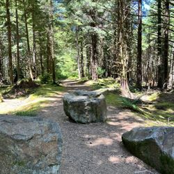 Agnes Creek Open Space