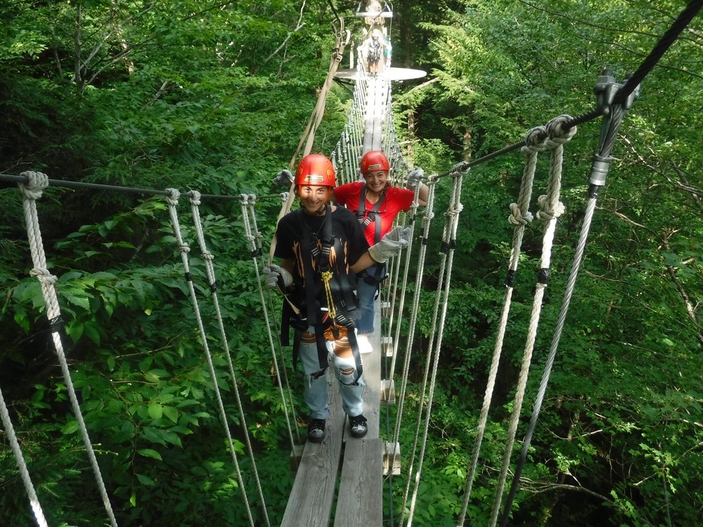 ArborTrek Canopy Adventures Logo