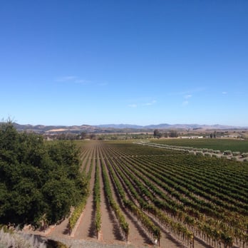 Gloria Ferrer Winery - Wineries Near Me - Sonoma, California