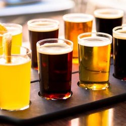 Philly Brew Tours by City Brew Tours