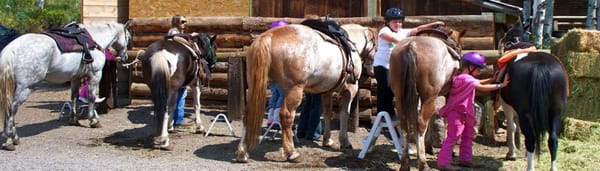 Vail Stables by null