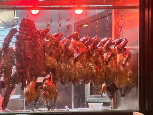 Lotus Garden by null