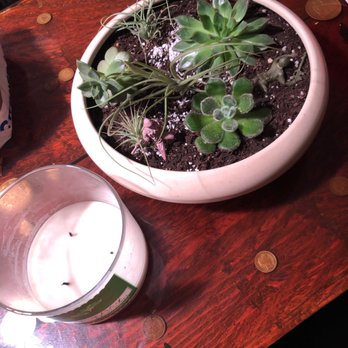 The Nest - The air plants and succulents to go with the plant hanger - Used, Vintage & Consignment Near Me - Reno, Nevada The Nest - The air plants and succulents to go with the plant hanger - Used, Vintage & Consignment Near Me - Reno, Nevada