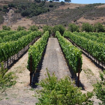 Foley Estates Vineyard & Winery - Wine Tasting Room Near Me - Lompoc, California Foley Estates Vineyard & Winery - Wine Tasting Room Near Me - Lompoc, California