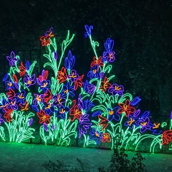 River Of Lights - Festivals Near Me - Albuquerque, New Mexico