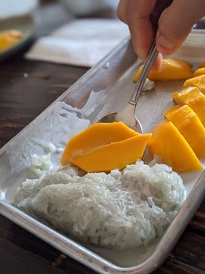 Summer Buffalo Thai Burbank by null