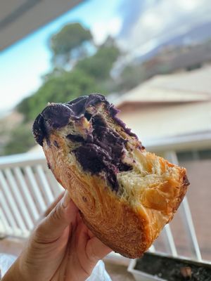 Aloha Mamacita by null