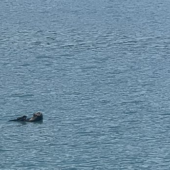 Kenai Fjords Tours - Boat Tours Near Me - Seward, Alaska