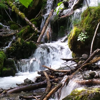 Falls Creek Trail - Fern gully? - Hiking Near Me - Anchorage, Alaska
