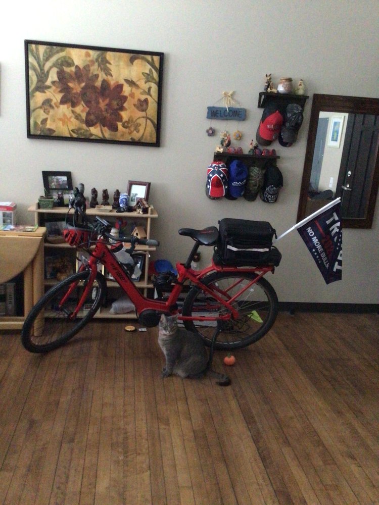 velocity bicycle shop