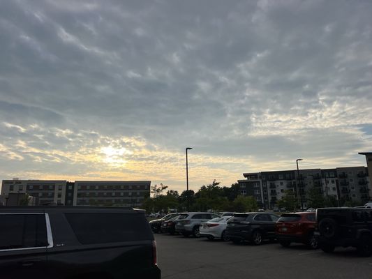 First Meeting Noodle by null