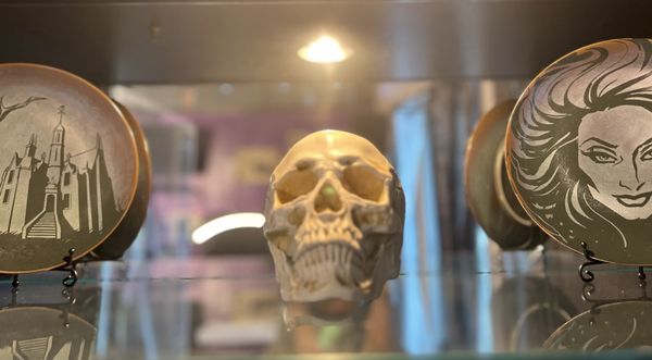 The Enchanted Needle