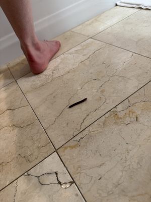 The Buccaneer Resort St. Croix, U.S. Virgin Islands by null