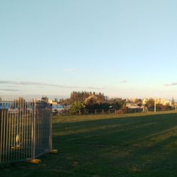 Queen Elizabeth Park - Park