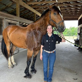 Wilkes County Veterinary Services - Veterinarians Near Me - Washington, Georgia